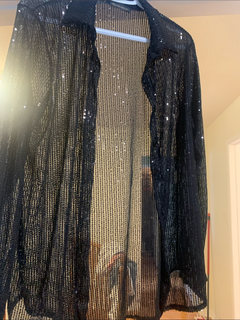 Sheer Black Sequin Button-Up Top